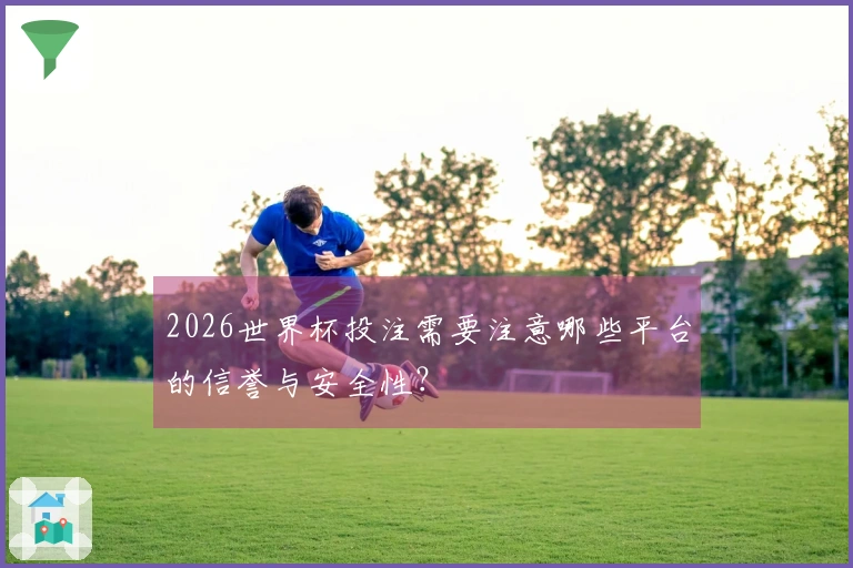 2026世界杯投注需要注意哪些平台的信誉与安全性？