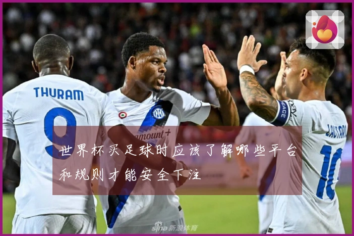 世界杯买足球时应该了解哪些平台和规则才能安全下注