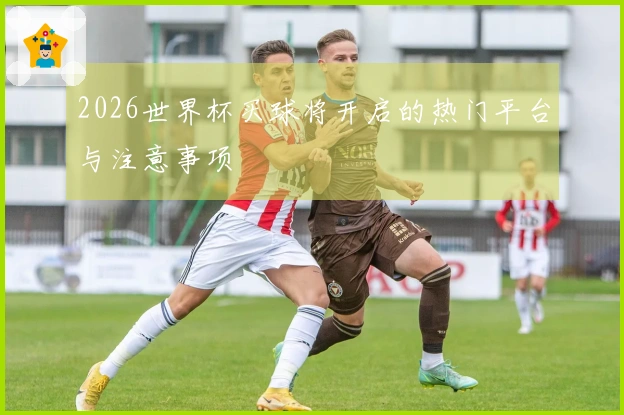 2026世界杯买球将开启的热门平台与注意事项