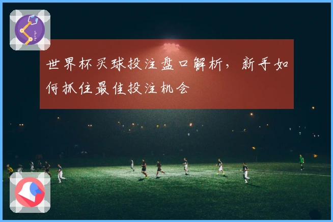 世界杯买球投注盘口解析，新手如何抓住最佳投注机会