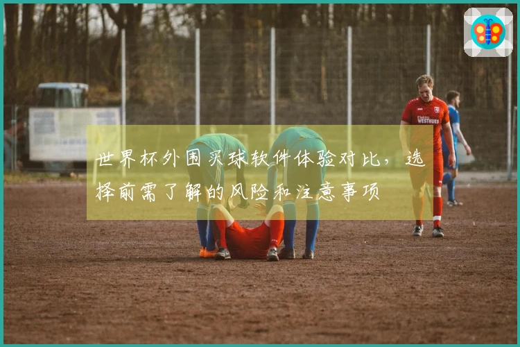 世界杯外围买球软件体验对比,选择前需了解的风险和注意事项