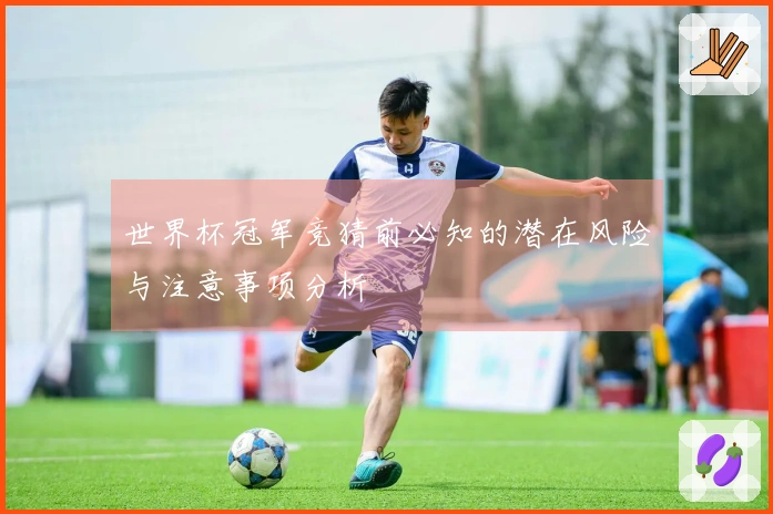世界杯冠军竞猜前必知的潜在风险与注意事项分析