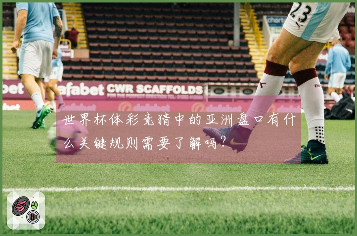 世界杯体彩竞猜中的亚洲盘口有什么关键规则需要了解吗？