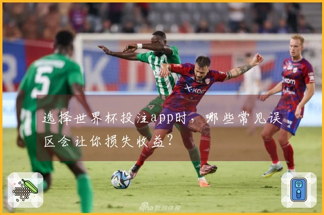 选择世界杯投注app时,哪些常见误区会让你损失收益?
