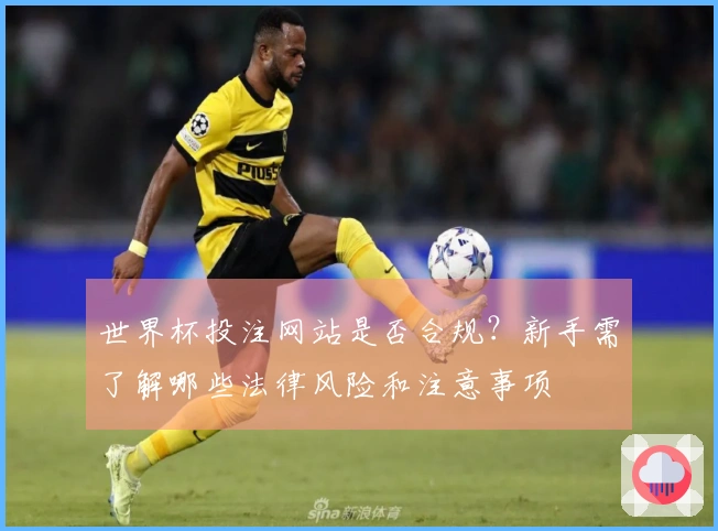 世界杯投注网站是否合规？新手需了解哪些法律风险和注意事项