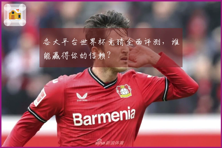 各大平台世界杯竞猜全面评测，谁能赢得你的信赖？