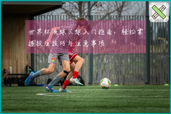 世界杯滚球买球入门指南，轻松掌握投注技巧与注意事项