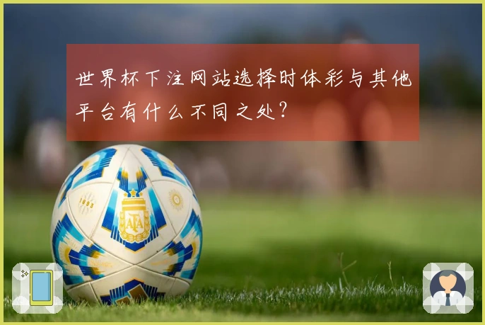 世界杯下注网站选择时体彩与其他平台有什么不同之处？