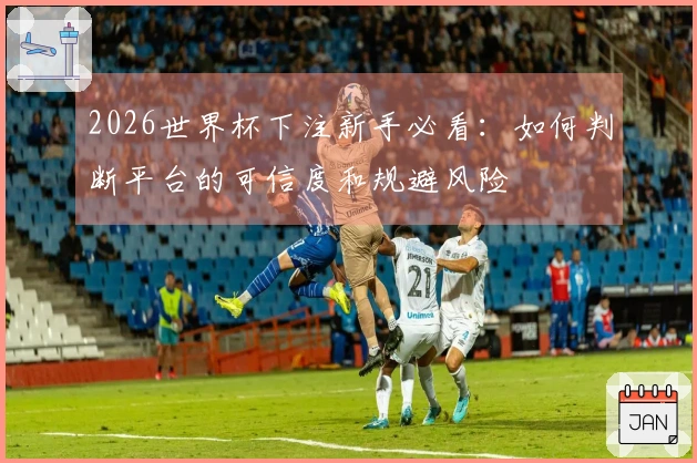 2026世界杯下注新手必看:如何判断平台的可信度和规避风险
