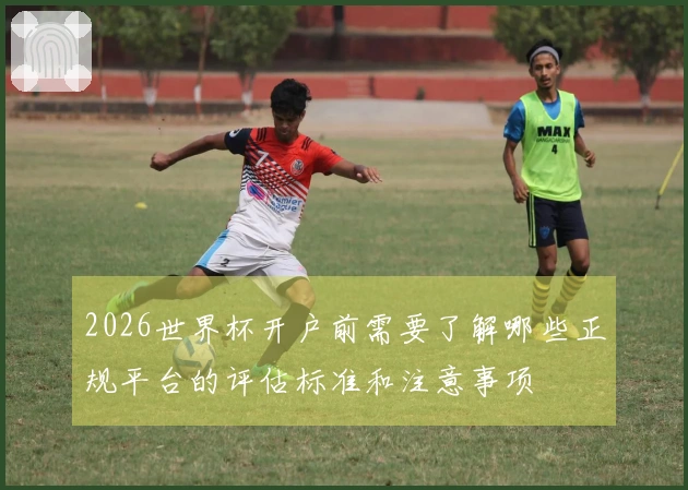 2026世界杯开户前需要了解哪些正规平台的评估标准和注意事项