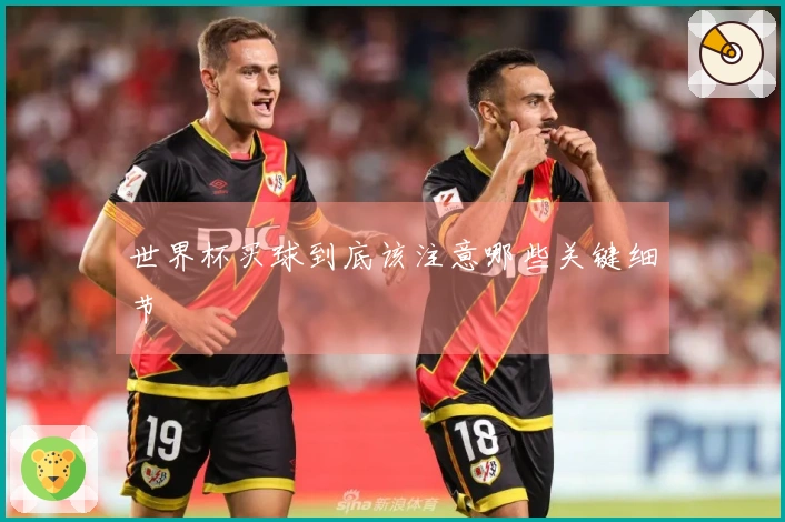 世界杯买球到底该注意哪些关键细节
