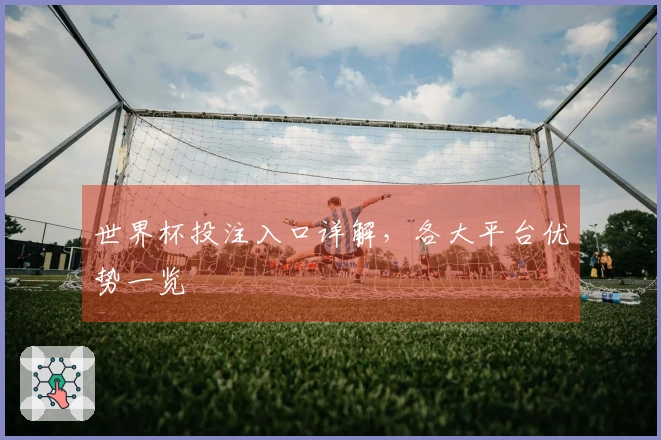 世界杯投注入口详解，各大平台优势一览