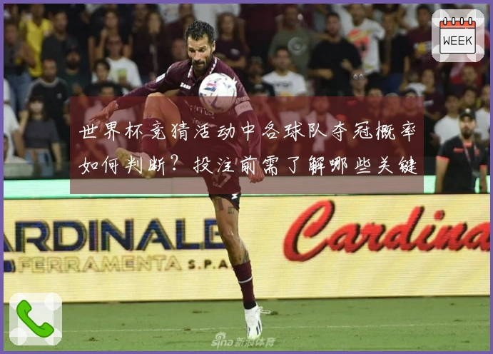 世界杯竞猜活动中各球队夺冠概率如何判断？投注前需了解哪些关键因素？