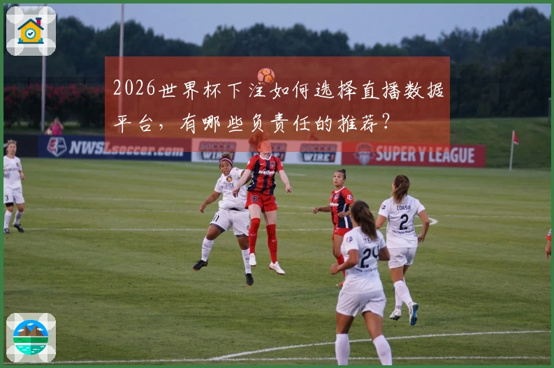 2026世界杯下注如何选择直播数据平台，有哪些负责任的推荐？