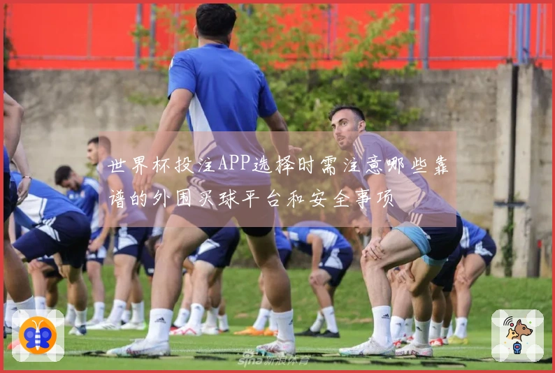 世界杯投注APP选择时需注意哪些靠谱的外围买球平台和安全事项