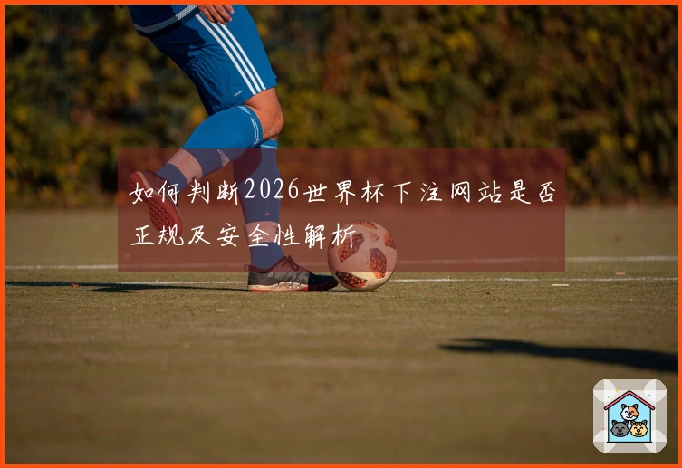 如何判断2026世界杯下注网站是否正规及安全性解析