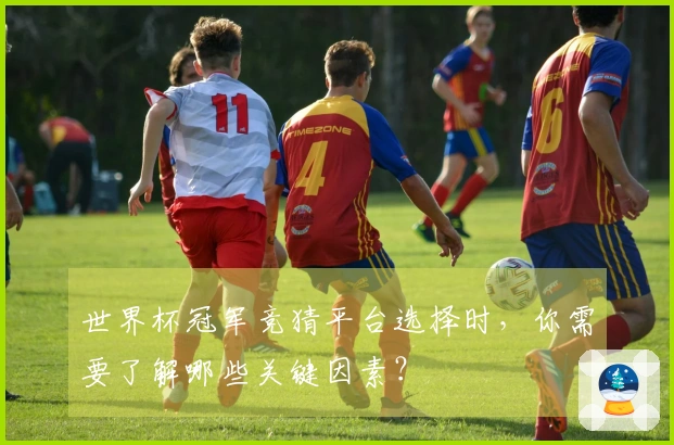 世界杯冠军竞猜平台选择时，你需要了解哪些关键因素？