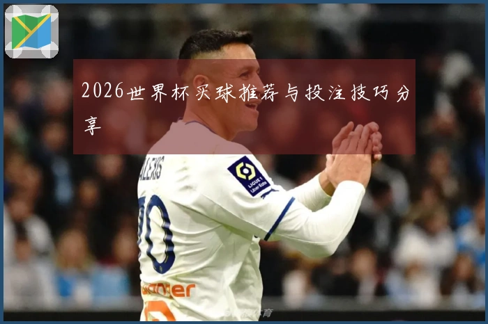2026世界杯买球推荐与投注技巧分享