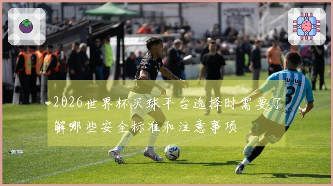2026世界杯买球平台选择时需要了解哪些安全标准和注意事项