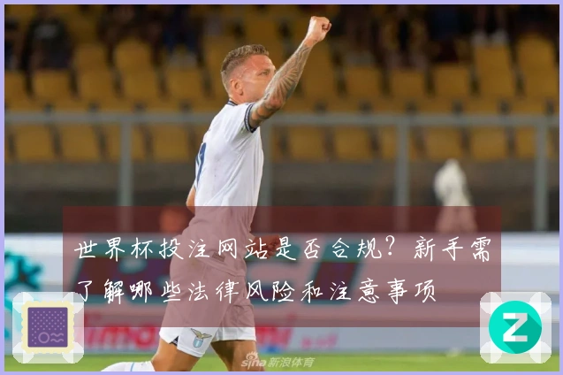 世界杯投注网站是否合规？新手需了解哪些法律风险和注意事项
