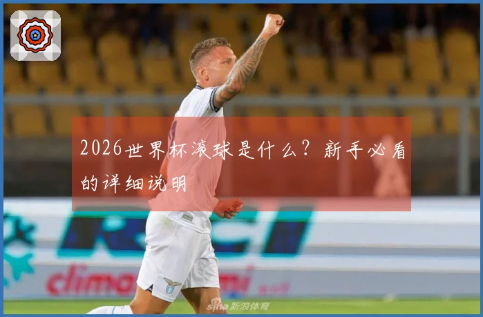 2026世界杯滚球是什么？新手必看的详细说明