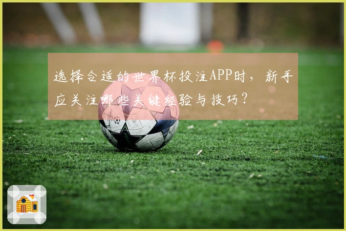 选择合适的世界杯投注APP时，新手应关注哪些关键经验与技巧？