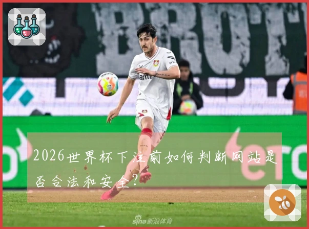 2026世界杯下注前如何判断网站是否合法和安全？