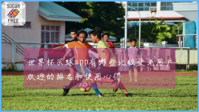 世界杯买球app有哪些比较受老用户欢迎的排名和使用心得