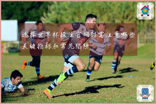 选择世界杯投注官网时需注意哪些关键指标和常见陷阱-