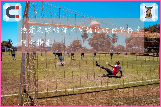 热爱足球的你不可错过的世界杯竞猜全指南