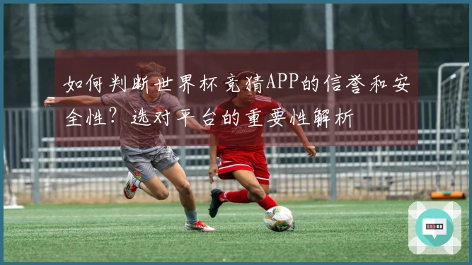 如何判断世界杯竞猜APP的信誉和安全性？选对平台的重要性解析