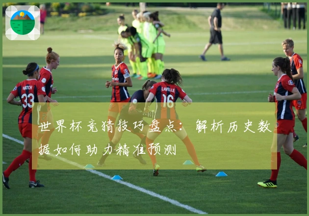 世界杯竞猜技巧盘点：解析历史数据如何助力精准预测