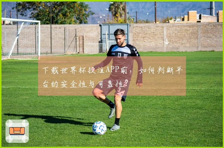 下载世界杯投注APP前，如何判断平台的安全性与可靠性？
