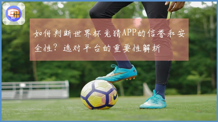 如何判断世界杯竞猜APP的信誉和安全性？选对平台的重要性解析